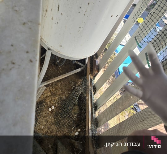 יד עם כפפה ליד דלי מלוכלך ורשתות